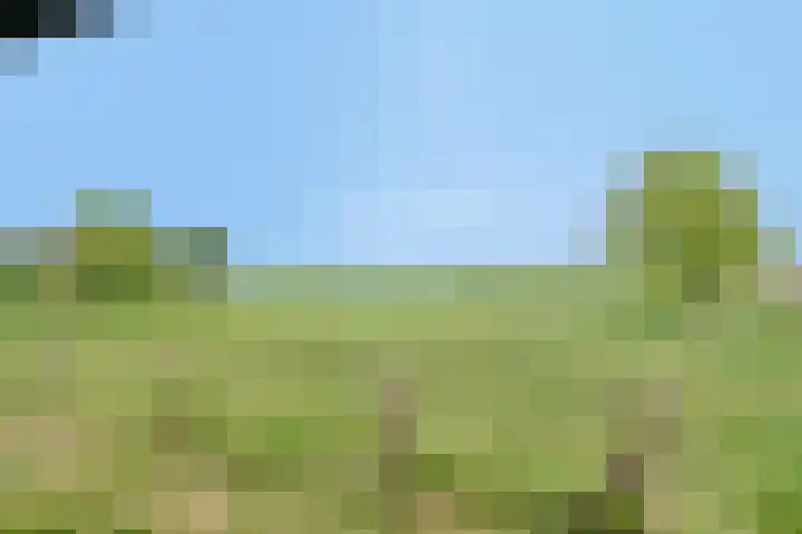 Zuider Kreekweg 3 Halsteren thumbnail 58