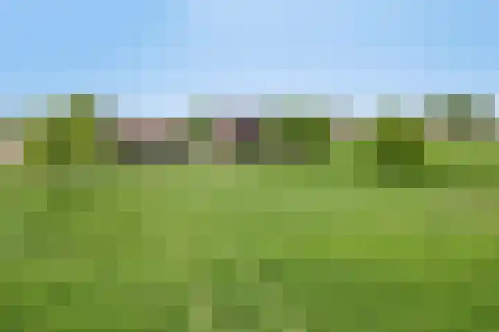 Zuider Kreekweg 3 Halsteren thumbnail 59