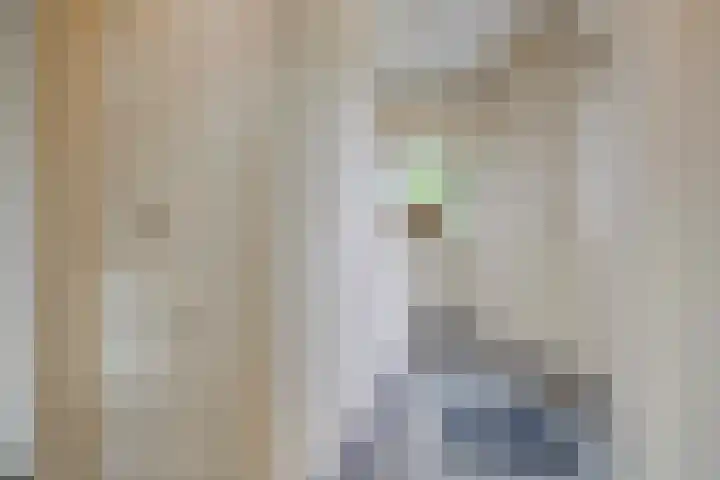 Zuider Kreekweg 3 Halsteren thumbnail 6