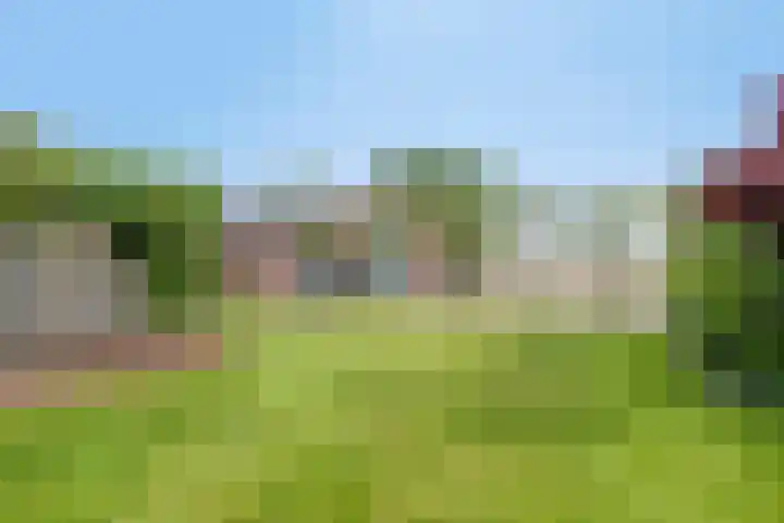 Zuider Kreekweg 3 Halsteren thumbnail 60