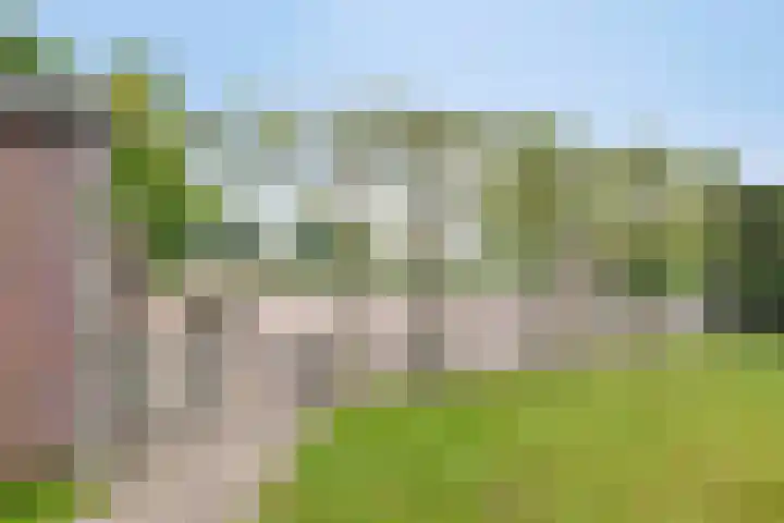 Zuider Kreekweg 3 Halsteren thumbnail 61