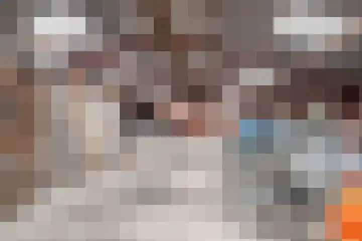 Zuider Kreekweg 3 Halsteren thumbnail 66