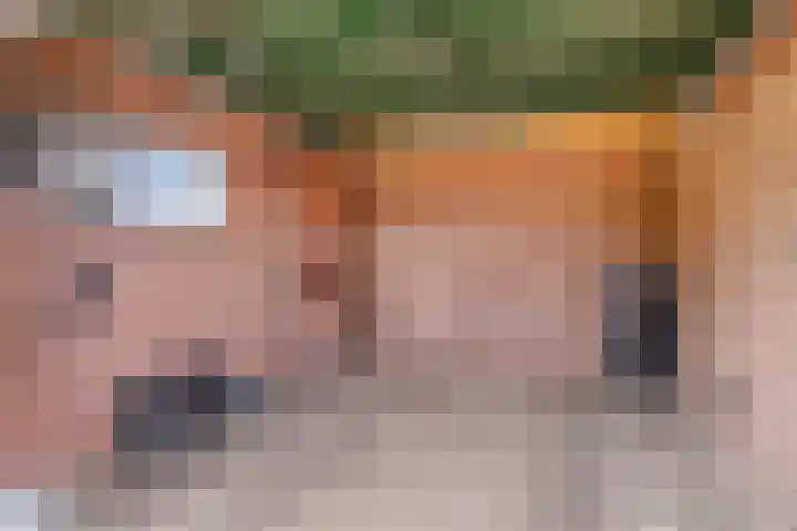 Zuider Kreekweg 3 Halsteren thumbnail 69