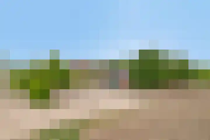 Zuider Kreekweg 3 Halsteren thumbnail 70