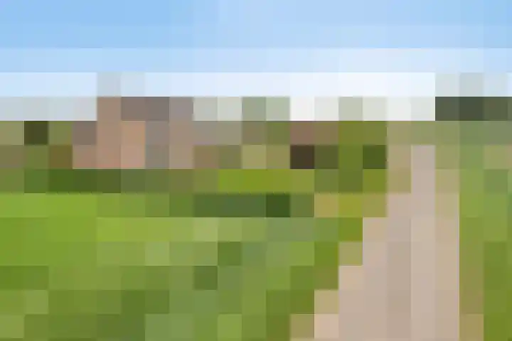 Zuider Kreekweg 3 Halsteren thumbnail 71