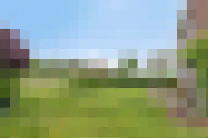 Zuider Kreekweg 3 Halsteren thumbnail 72