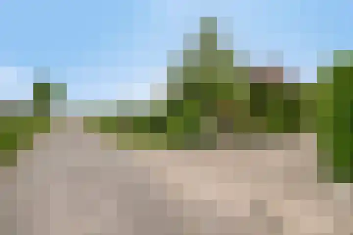 Zuider Kreekweg 3 Halsteren thumbnail 73