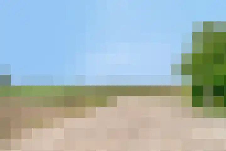 Zuider Kreekweg 3 Halsteren thumbnail 74