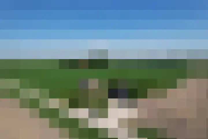 Zuider Kreekweg 3 Halsteren thumbnail 75