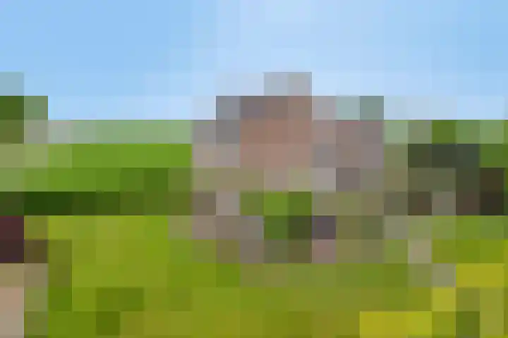Zuider Kreekweg 3 Halsteren thumbnail 77
