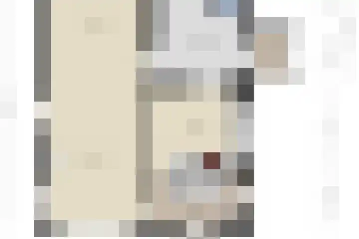 Zuider Kreekweg 3 Halsteren thumbnail 79