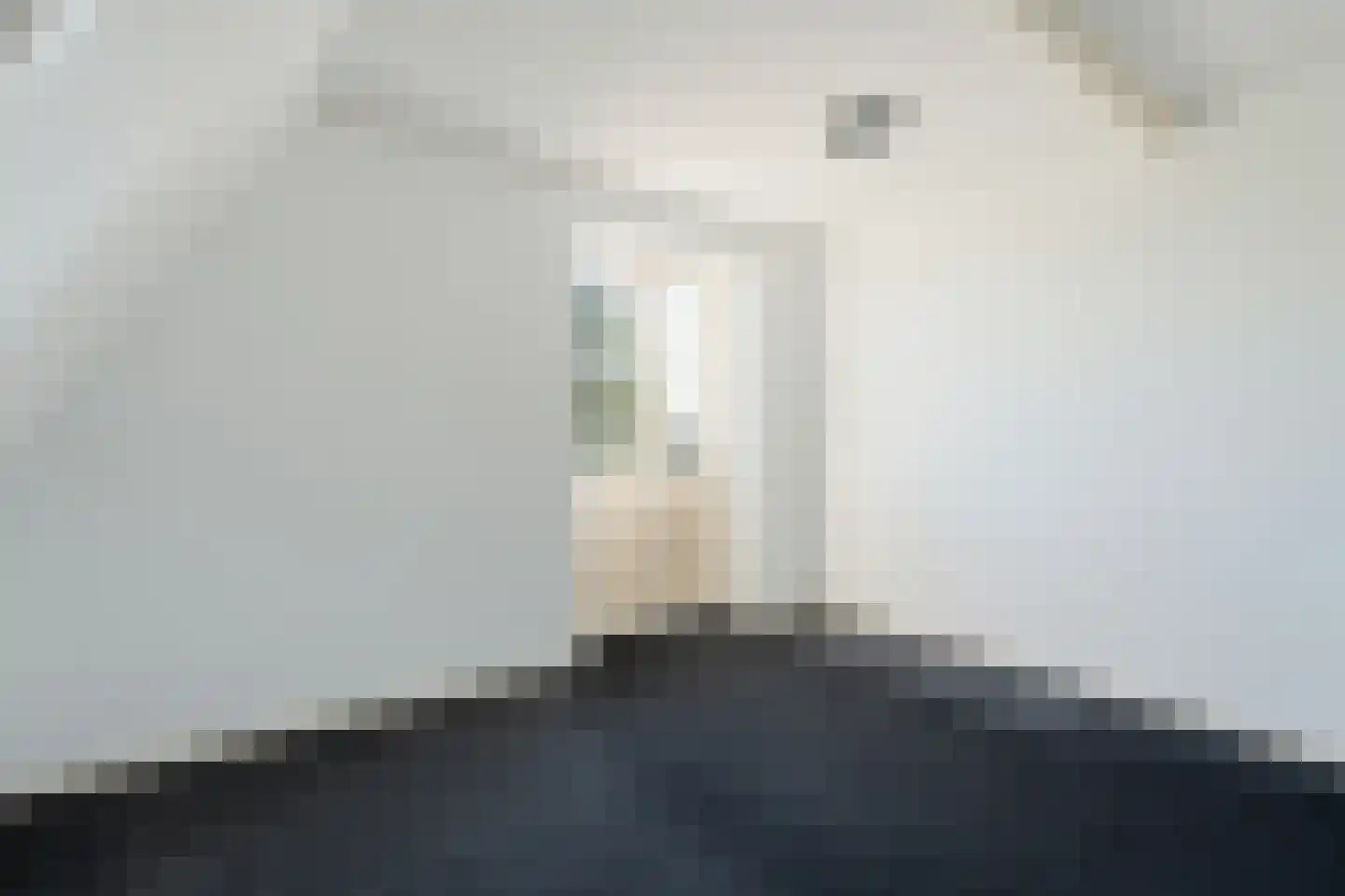Zuider Leidsevaart 2 E Hillegom thumbnail 14