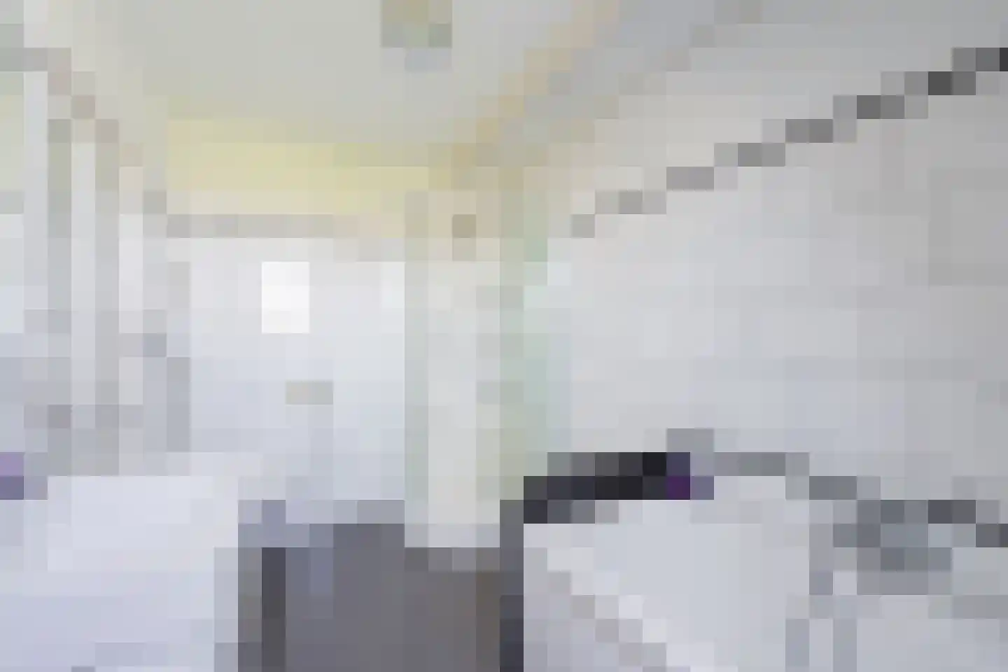 Zuider Leidsevaart 2 E Hillegom thumbnail 20