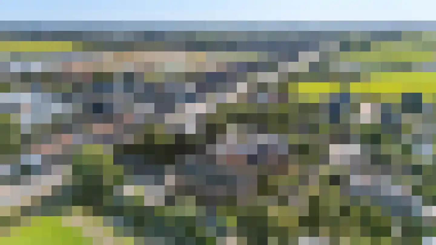 Zuider Leidsevaart 2 E Hillegom foto 3