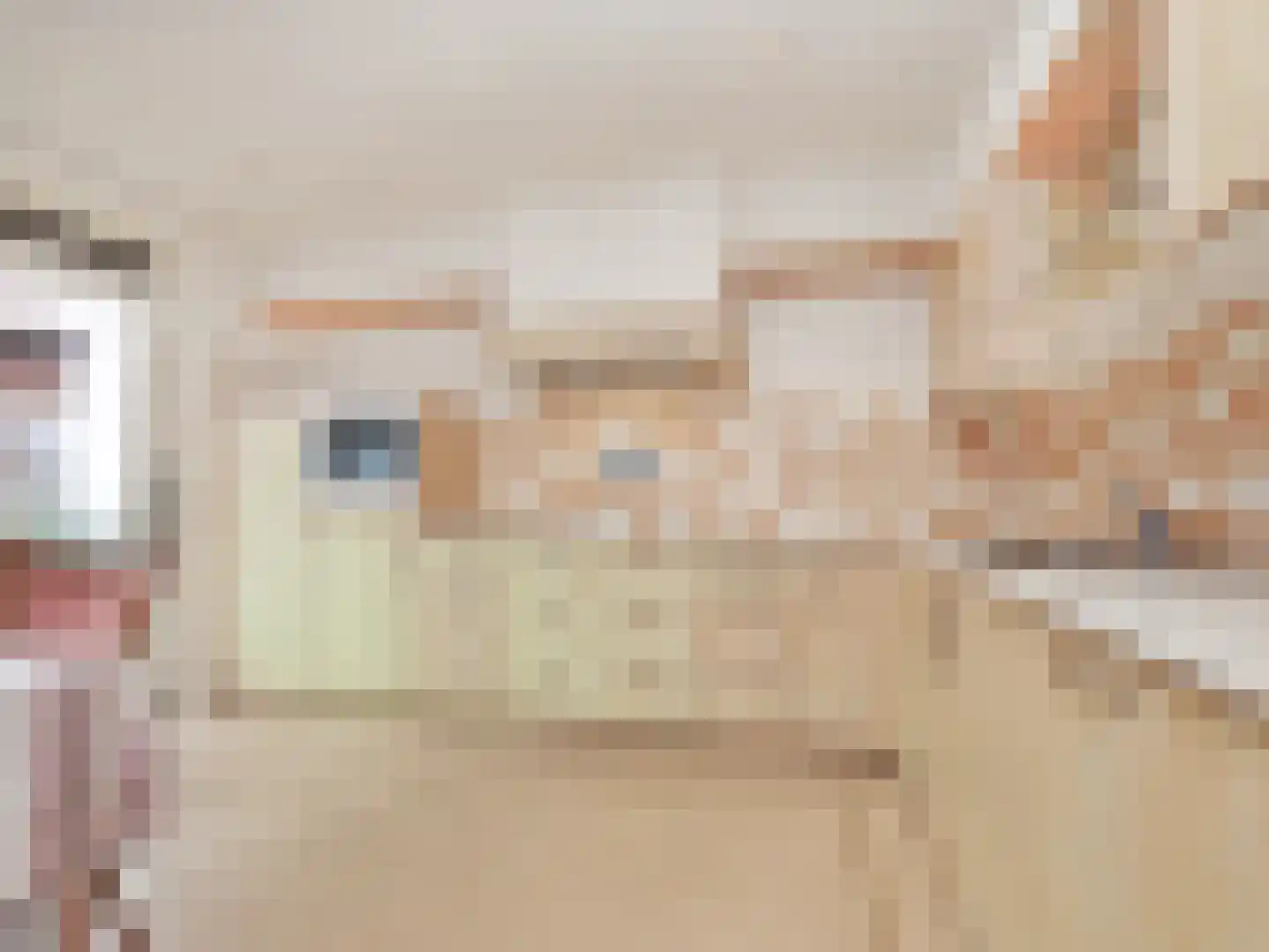 Zuider Leidsevaart 22 Hillegom thumbnail 13