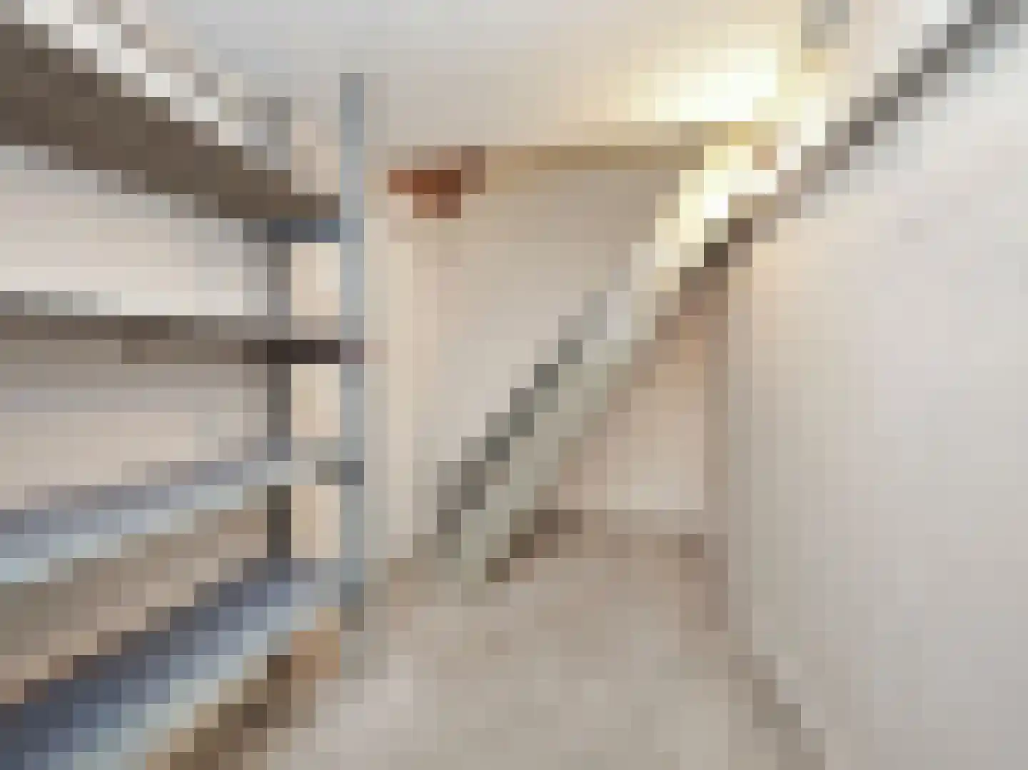 Zuider Leidsevaart 22 Hillegom thumbnail 20