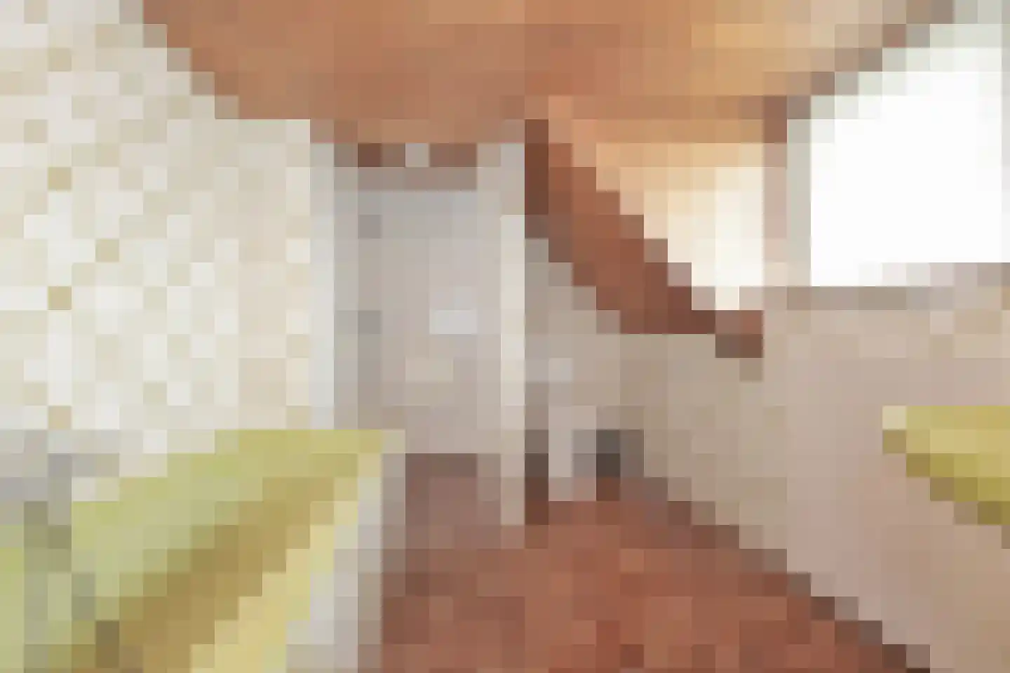 Zuider Leidsevaart 22 Hillegom thumbnail 26