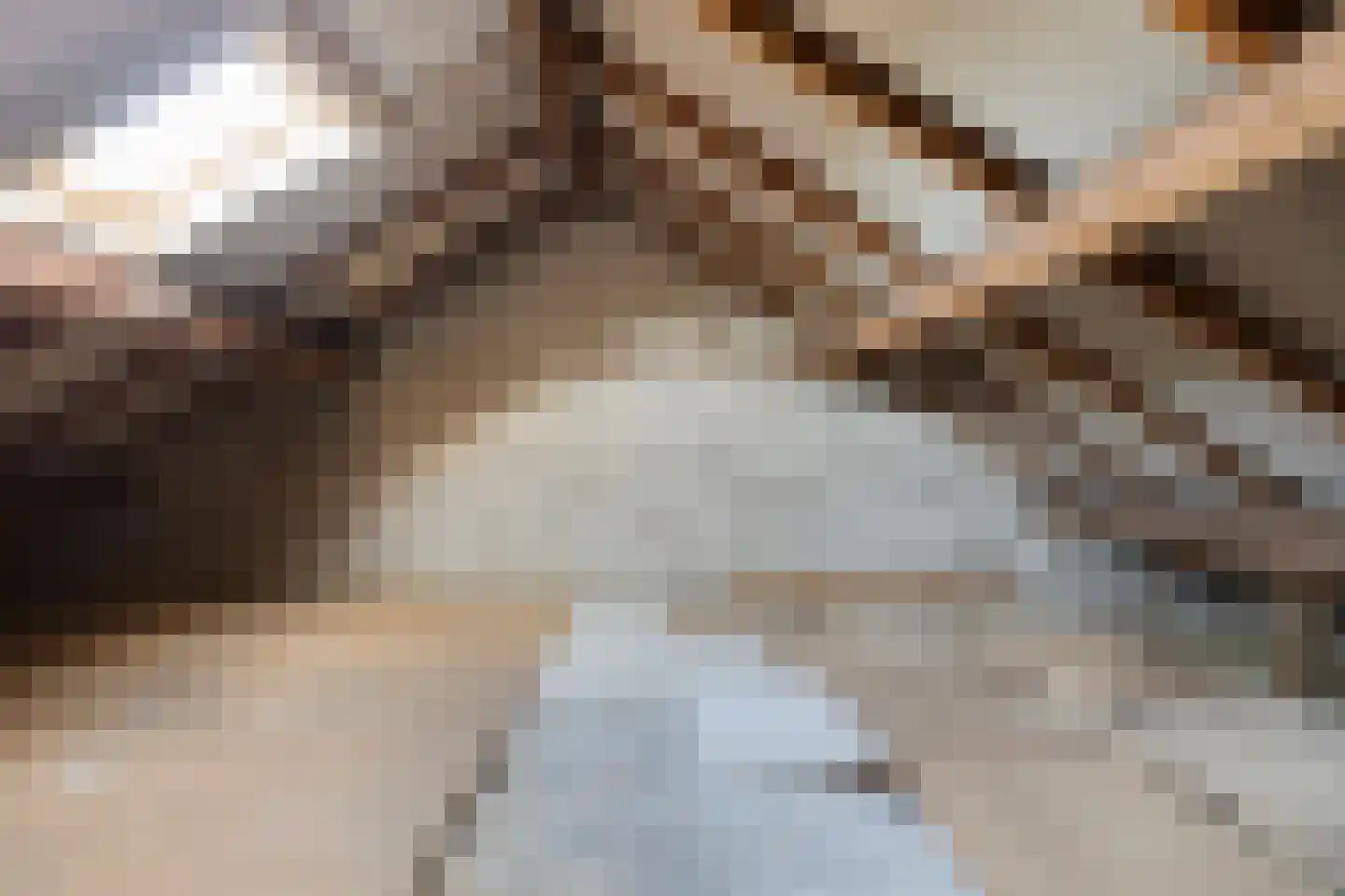 Zuider Parallelweg 26 a Velp thumbnail 33