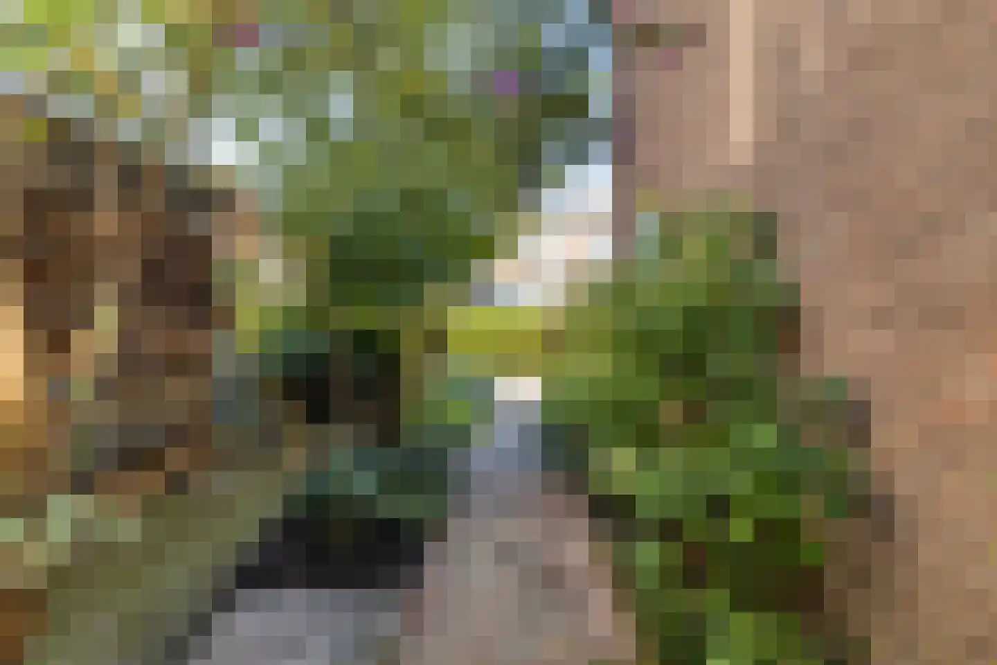 Zuider Parallelweg 26 a Velp thumbnail 36