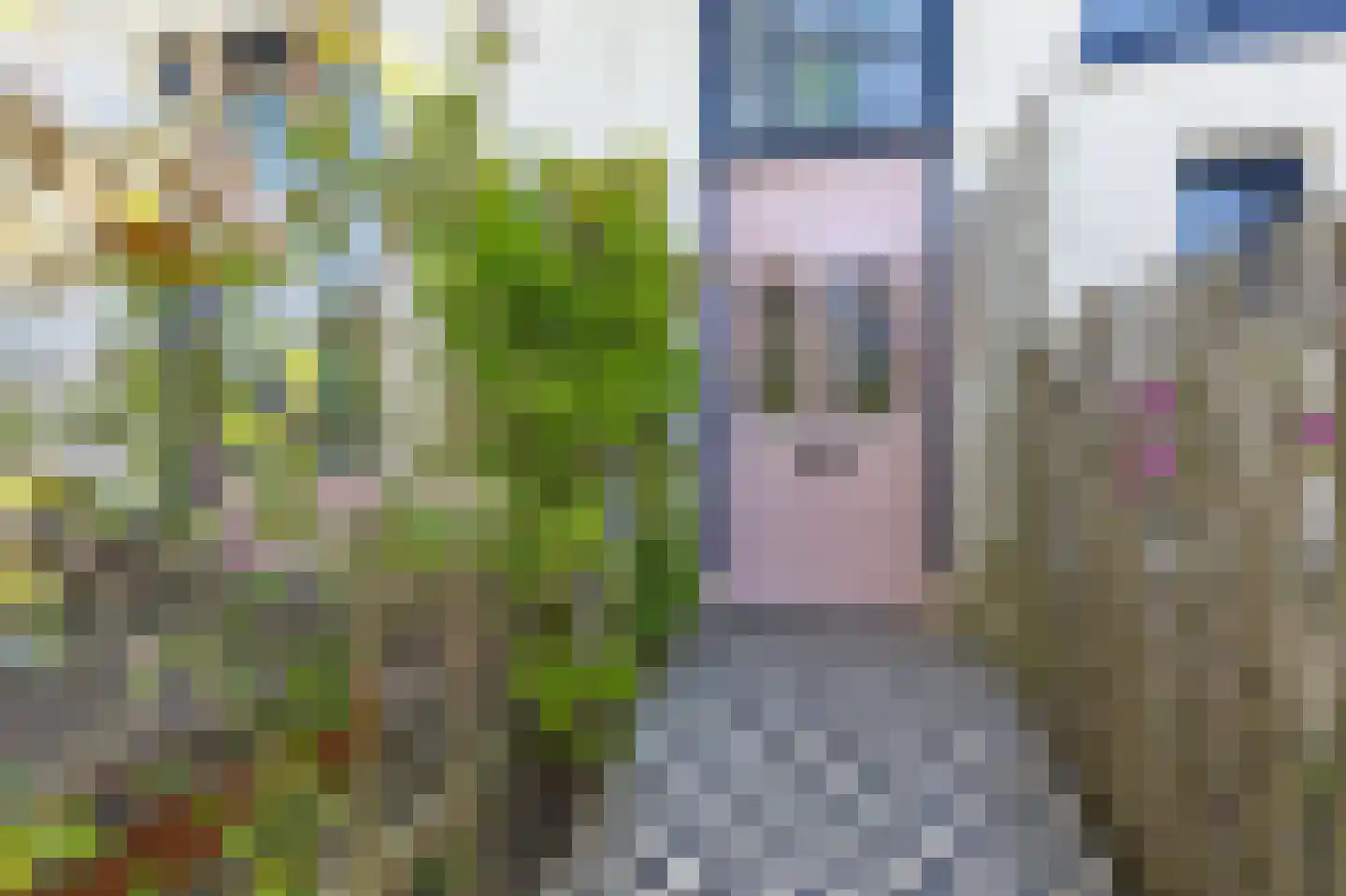 Zuider Parallelweg 45 Velp thumbnail 10