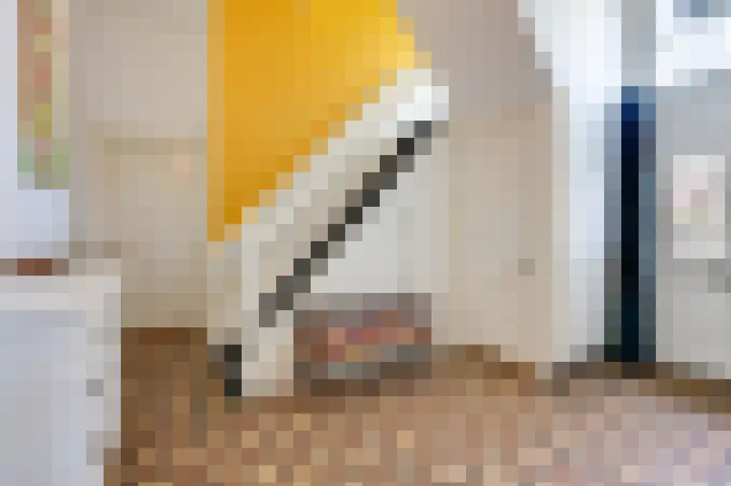 Zuider Parallelweg 45 Velp thumbnail 12