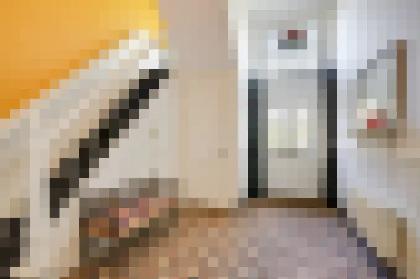 Zuider Parallelweg 45 Velp thumbnail 13