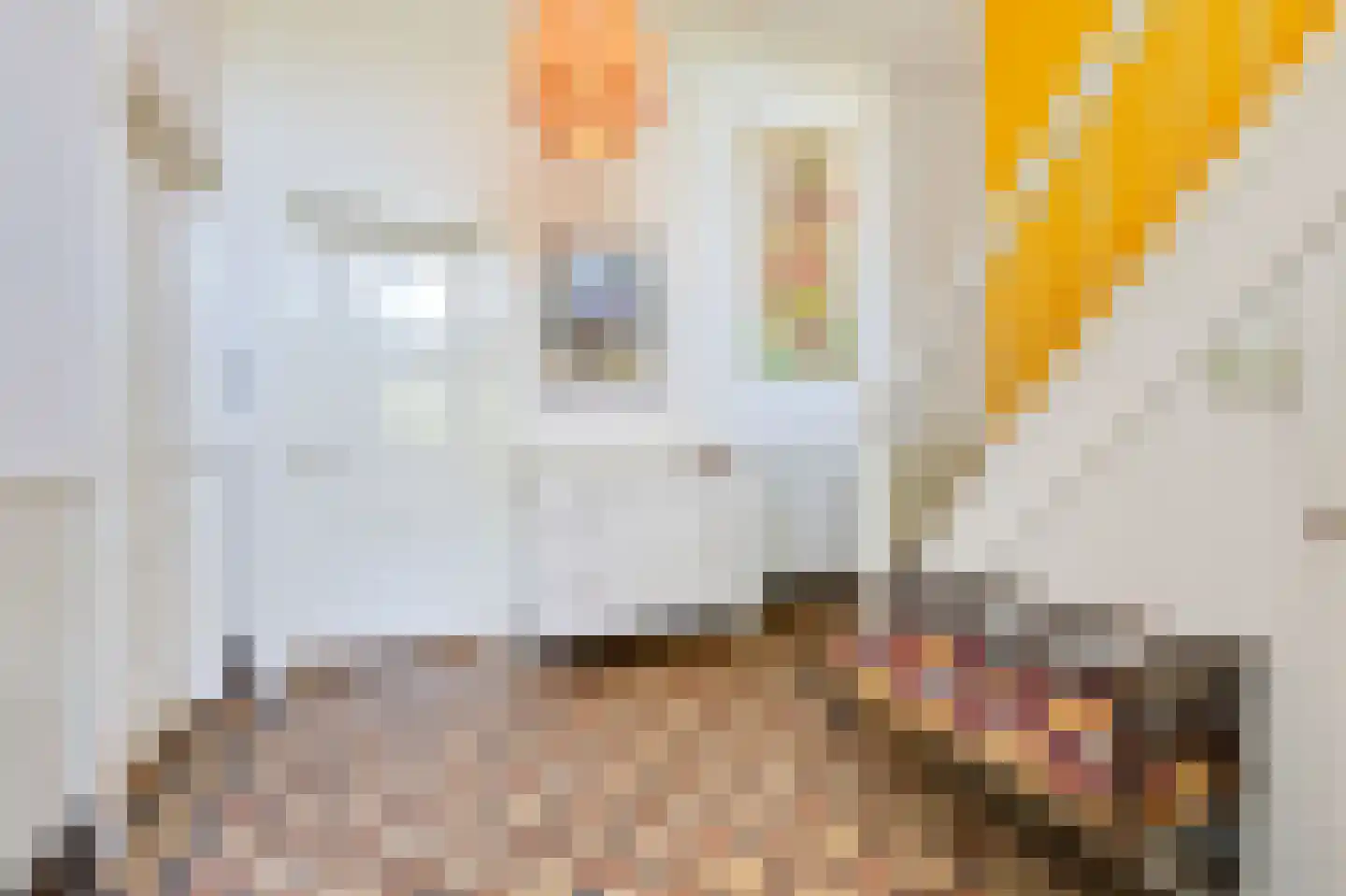 Zuider Parallelweg 45 Velp thumbnail 14