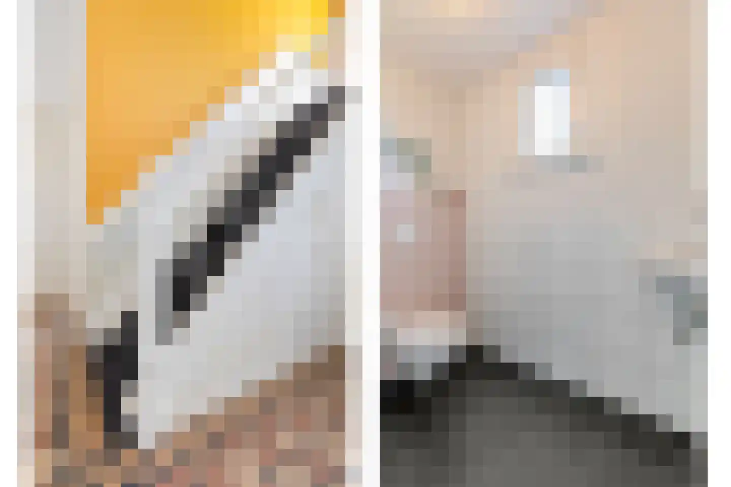 Zuider Parallelweg 45 Velp thumbnail 15