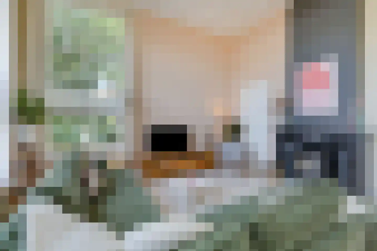 Zuider Parallelweg 45 Velp thumbnail 19