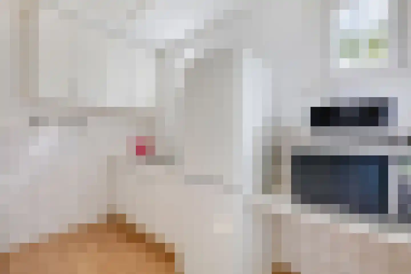 Zuider Parallelweg 45 Velp thumbnail 32