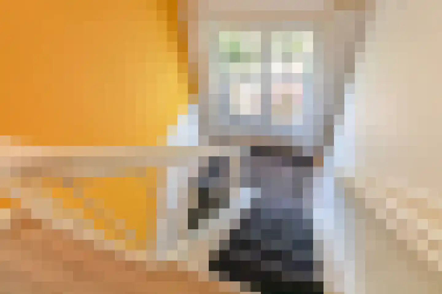 Zuider Parallelweg 45 Velp thumbnail 34