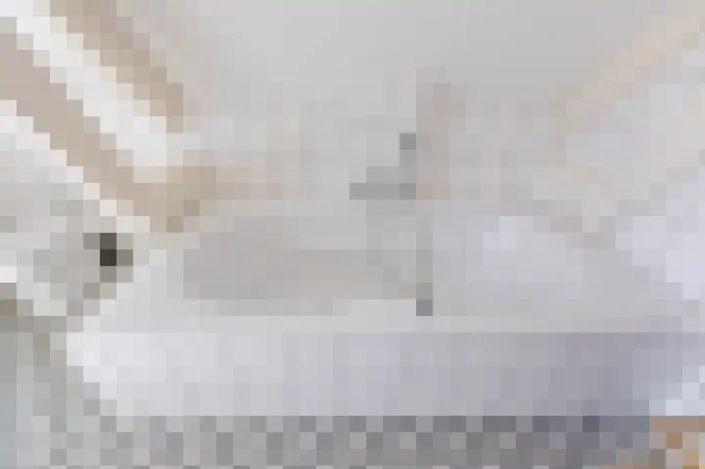 Zuider Parallelweg 45 Velp thumbnail 48