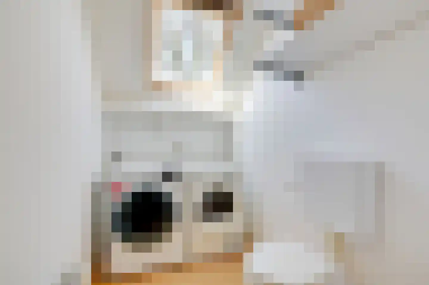 Zuider Parallelweg 45 Velp thumbnail 50