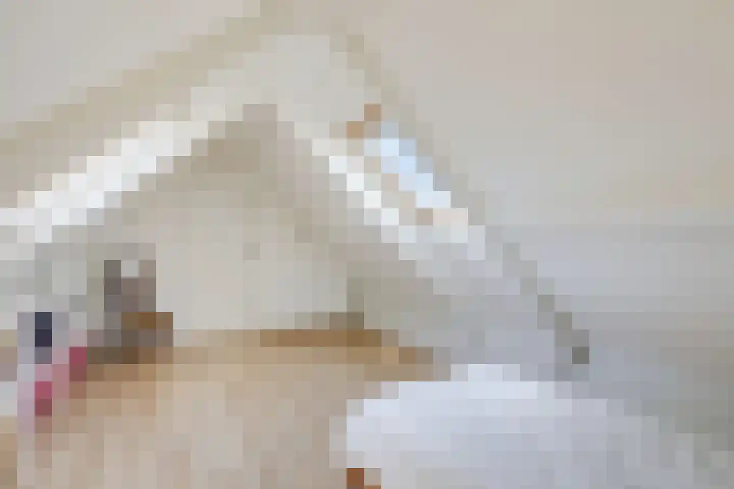 Zuider Parallelweg 45 Velp thumbnail 52