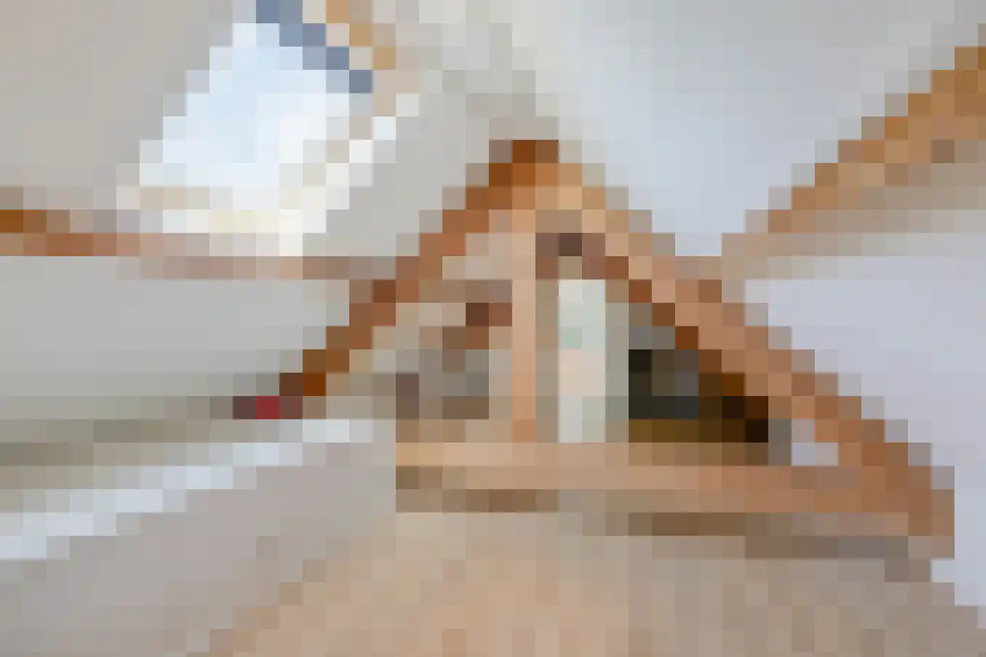 Zuider Parallelweg 45 Velp thumbnail 54