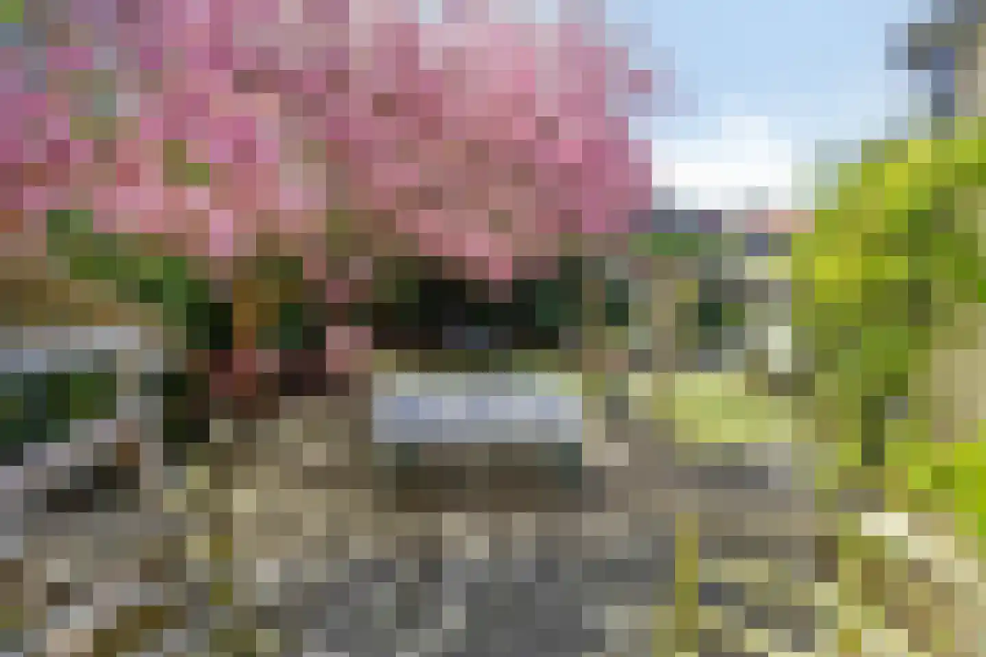 Zuider Parallelweg 45 Velp thumbnail 55
