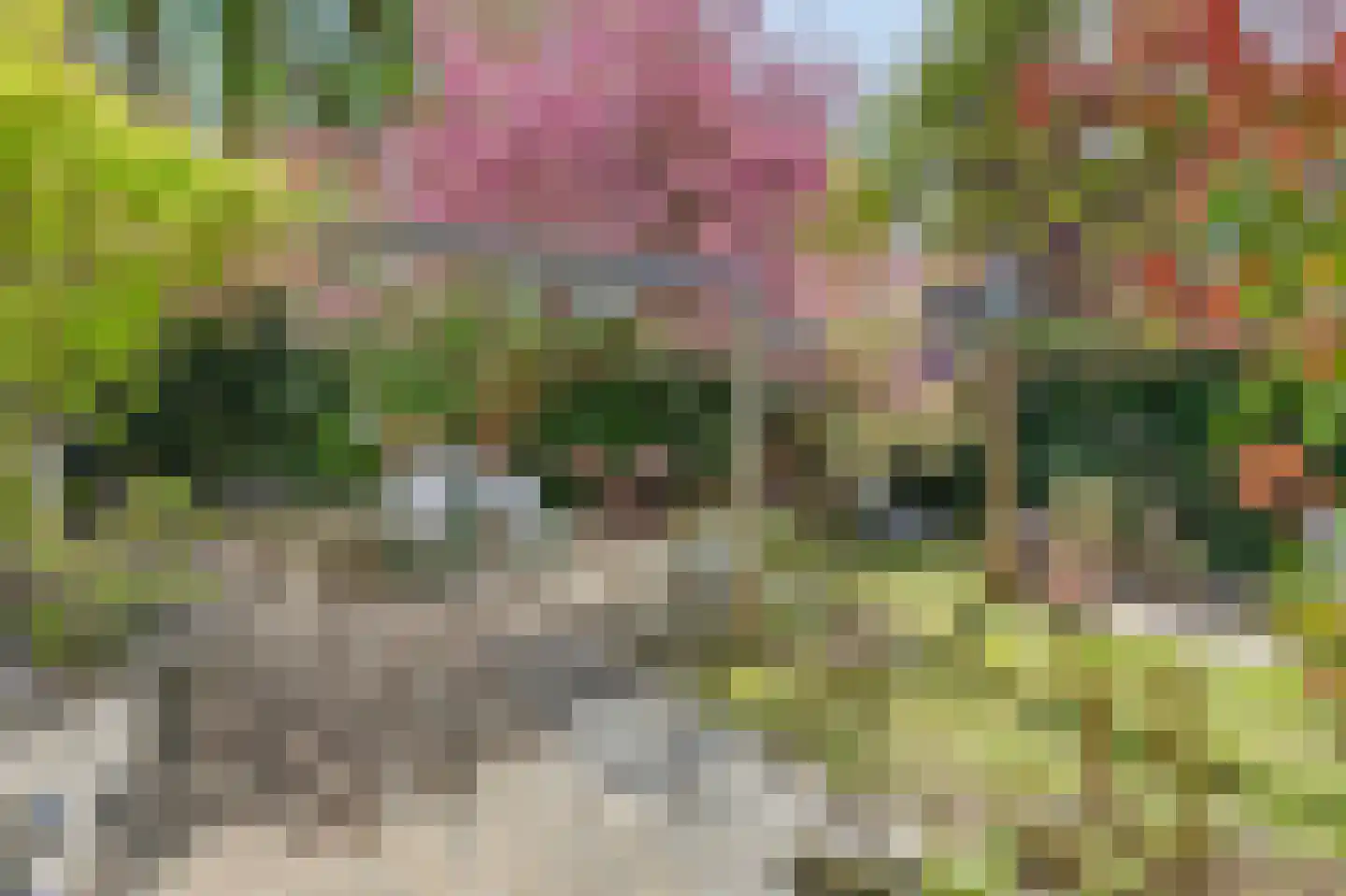Zuider Parallelweg 45 Velp thumbnail 56