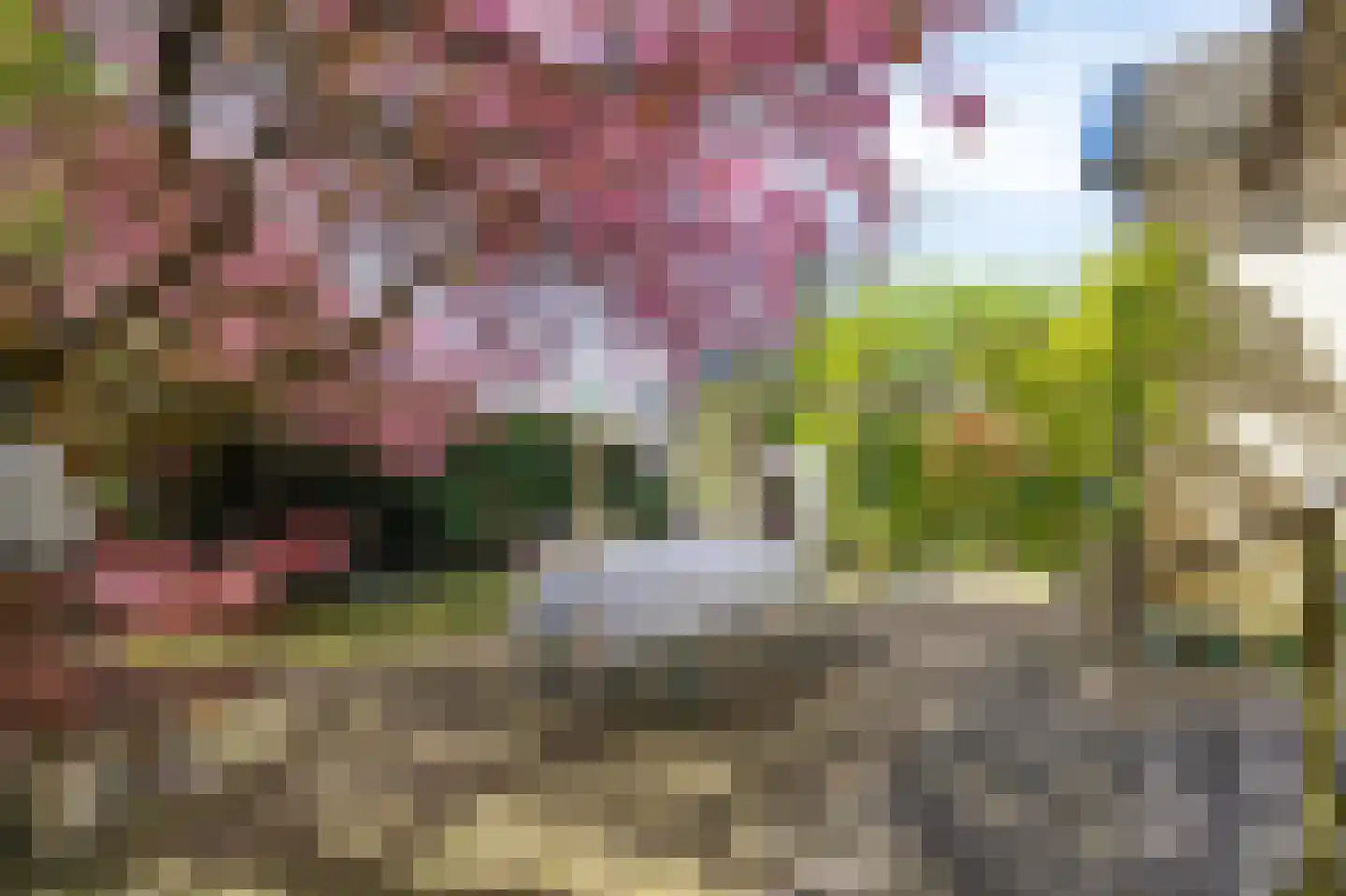 Zuider Parallelweg 45 Velp thumbnail 57