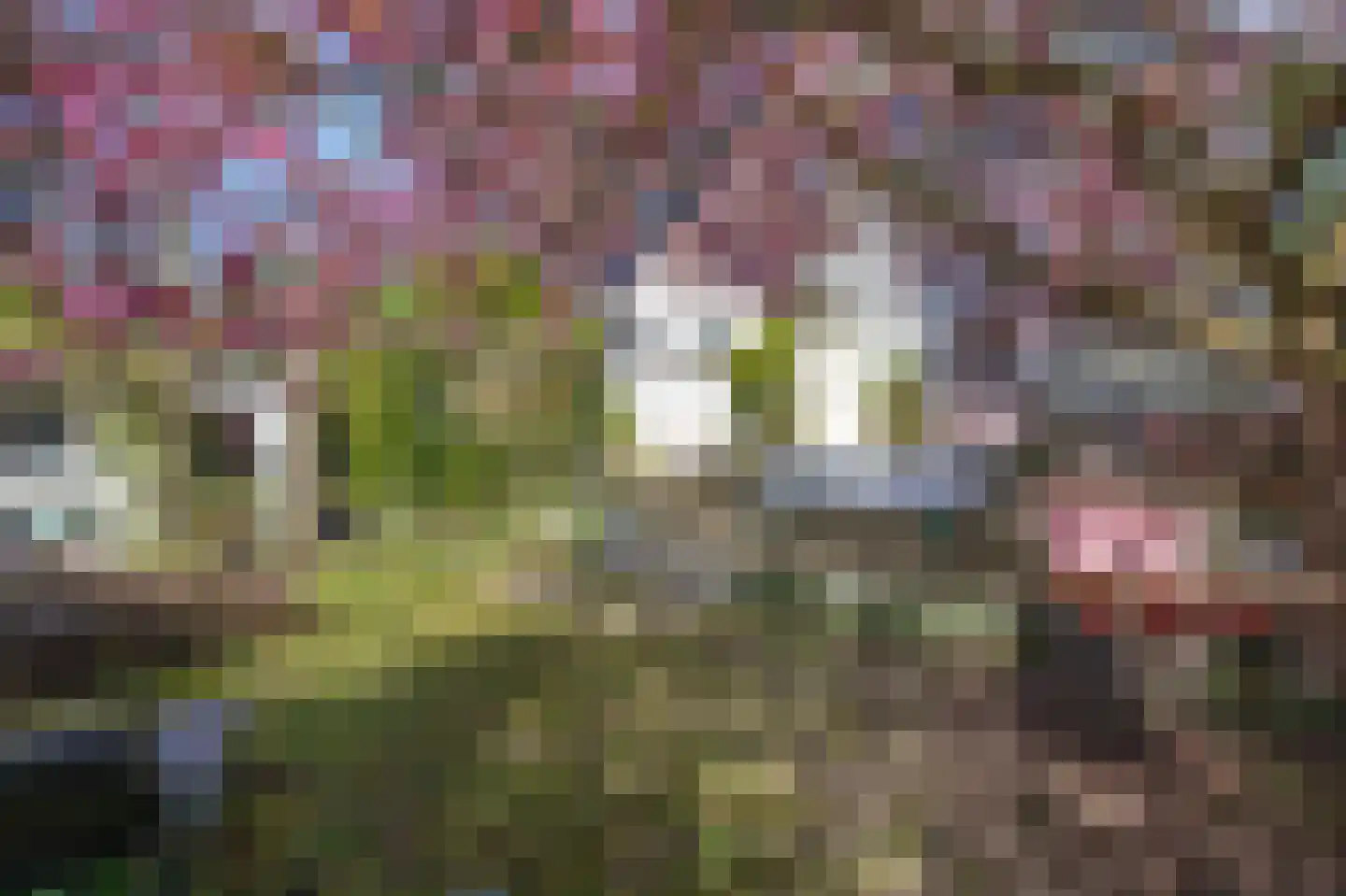 Zuider Parallelweg 45 Velp thumbnail 59