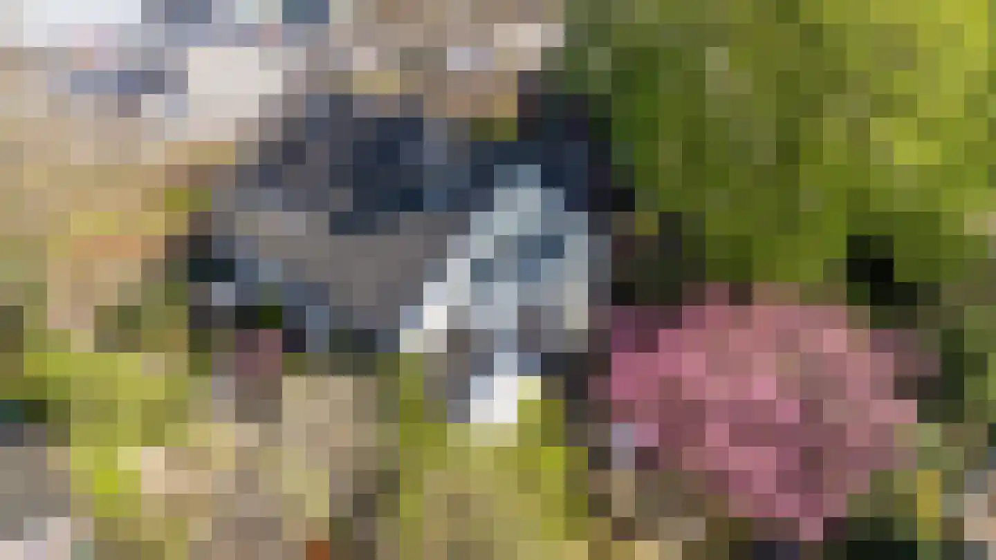 Zuider Parallelweg 45 Velp thumbnail 6