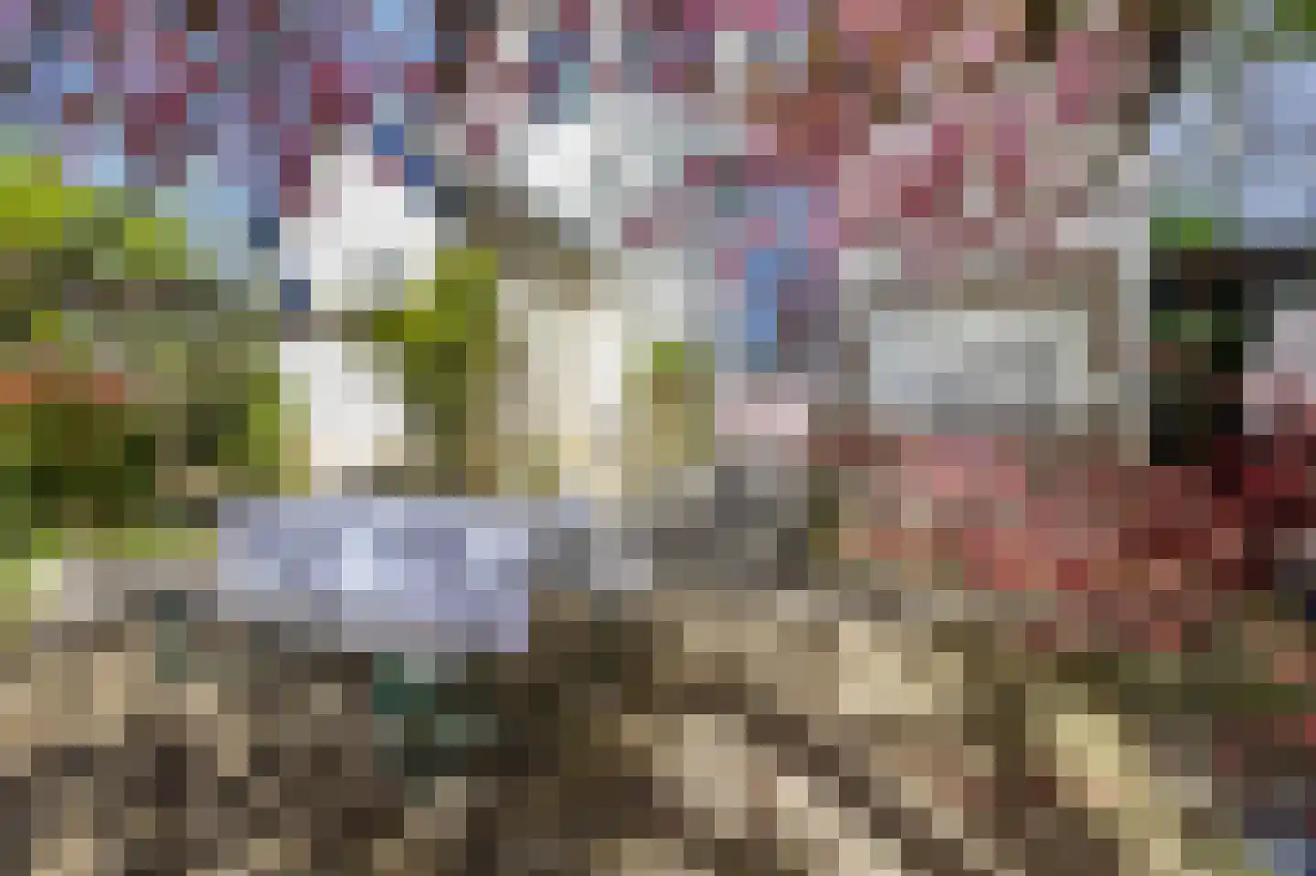 Zuider Parallelweg 45 Velp thumbnail 60