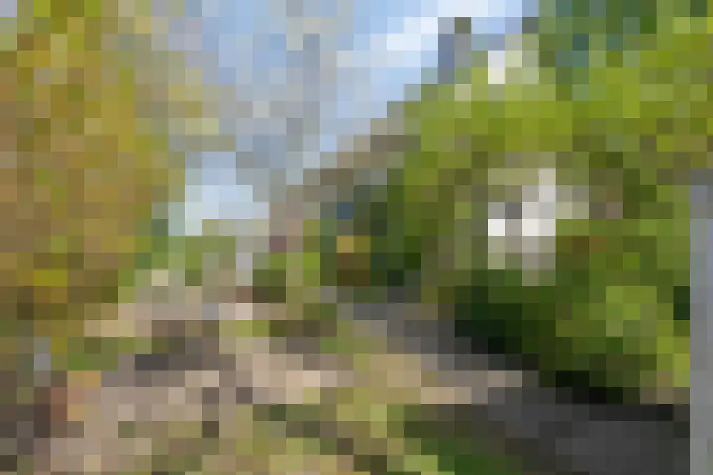Zuider Parallelweg 45 Velp thumbnail 62