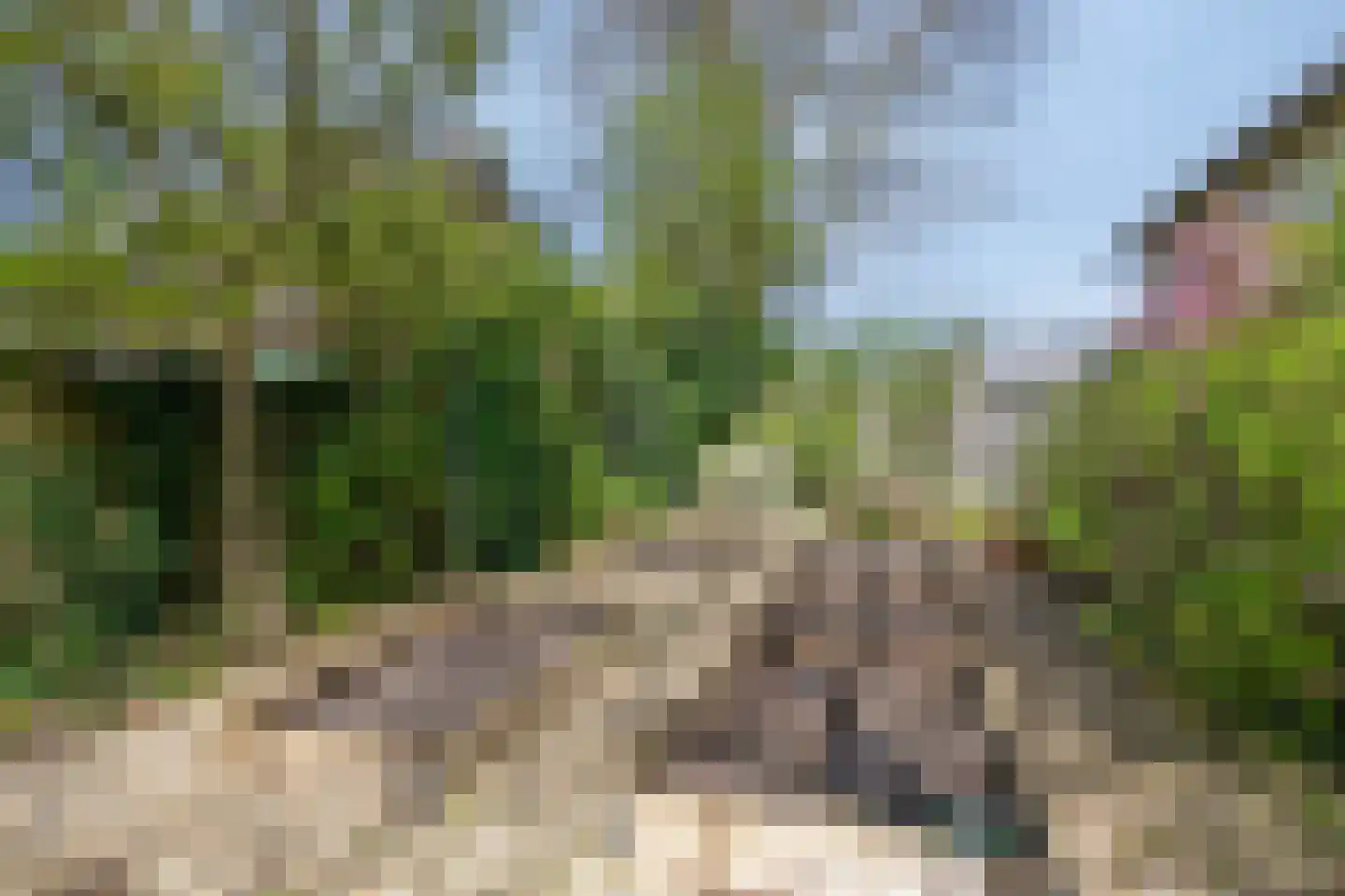 Zuider Parallelweg 45 Velp thumbnail 63