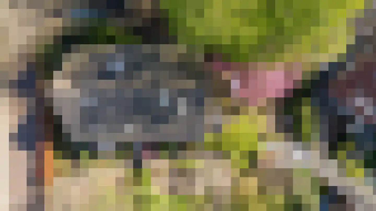 Zuider Parallelweg 45 Velp thumbnail 67
