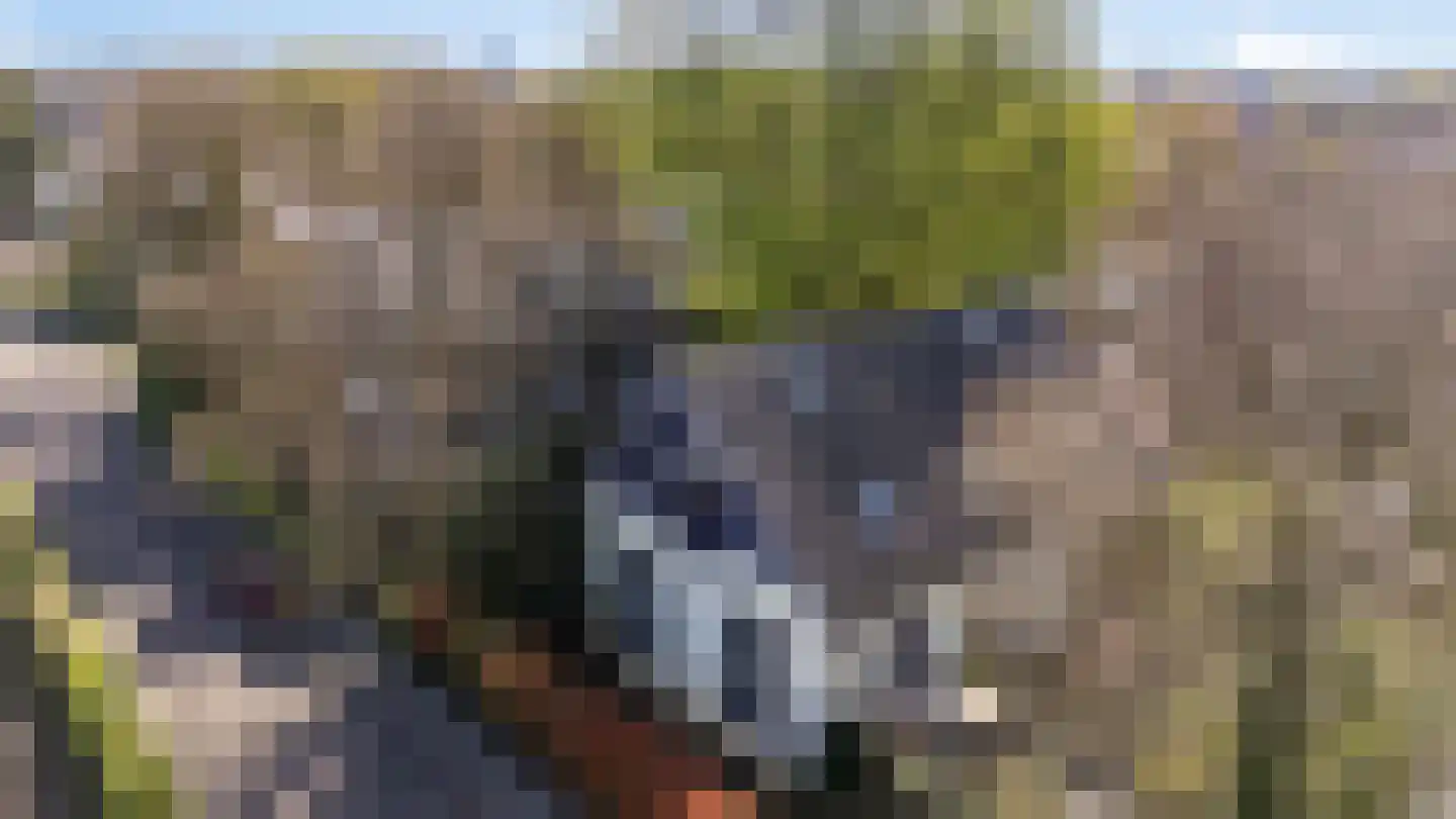 Zuider Parallelweg 45 Velp thumbnail 7