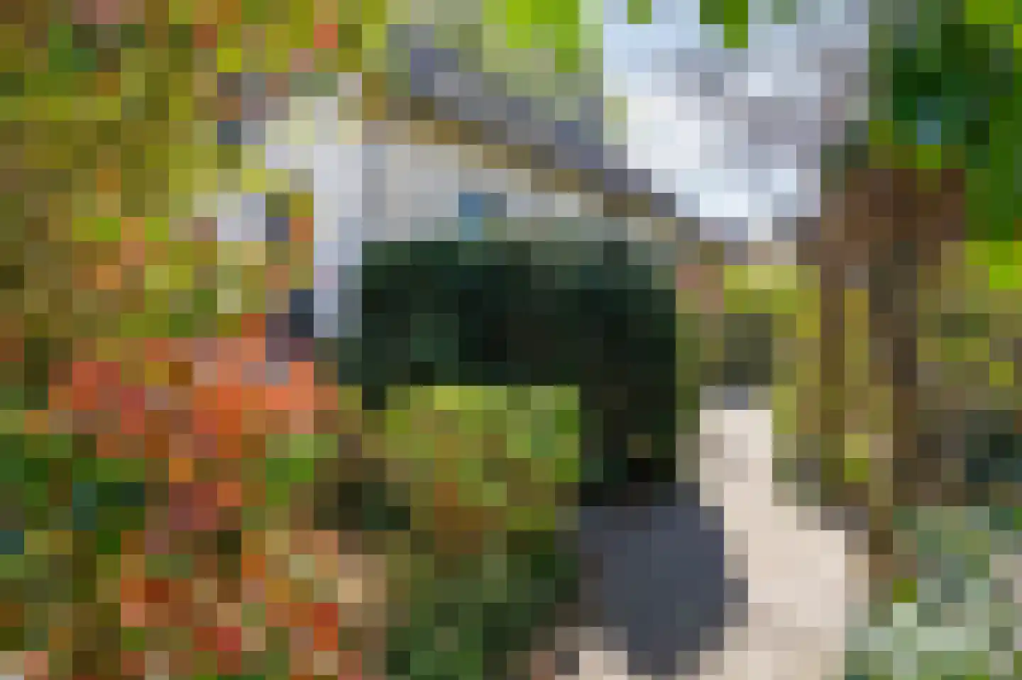 Zuider Parallelweg 45 Velp thumbnail 9