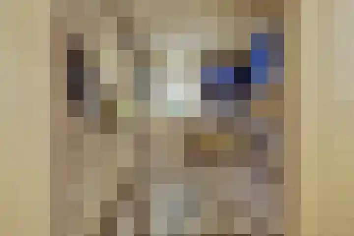 Zuider Parallelweg 5 Velp thumbnail 11