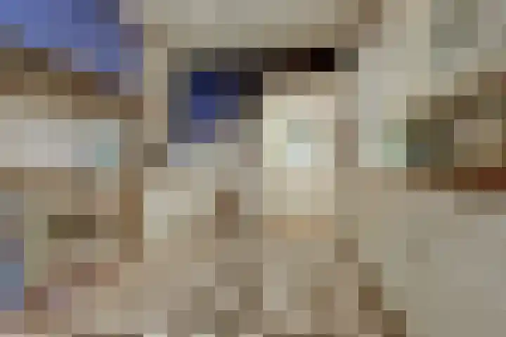 Zuider Parallelweg 5 Velp thumbnail 12