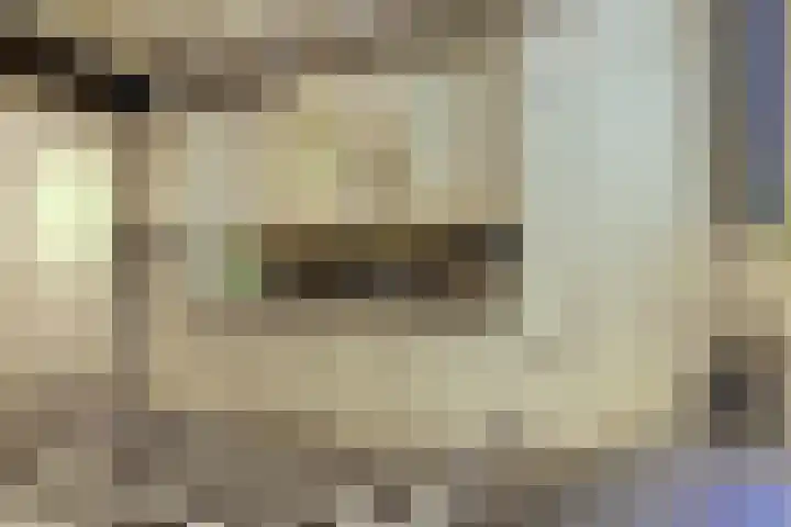 Zuider Parallelweg 5 Velp thumbnail 14