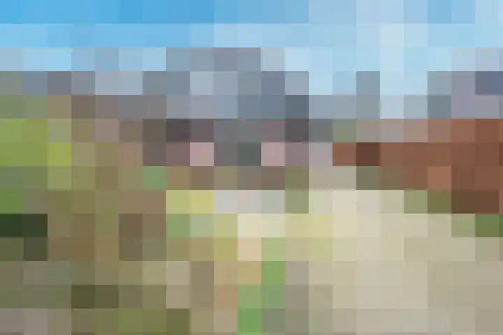 Zuider Parallelweg 5 Velp thumbnail 19
